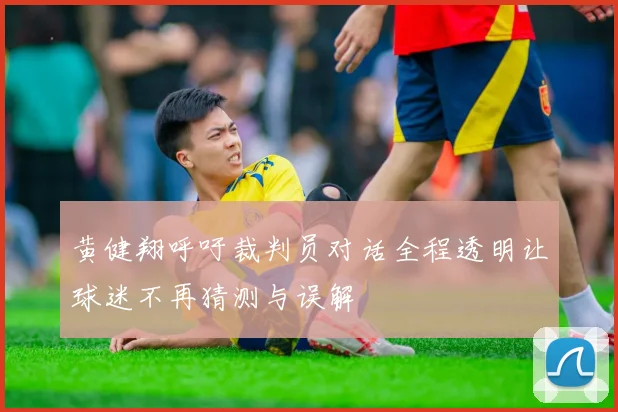 黄健翔呼吁裁判员对话全程透明让球迷不再猜测与误解